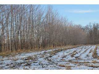 Property photo 51 - FARMLAND AUCTION, 60+/- Acres in 6 Tracts ranging from 4 to 20 acres & in combinations!